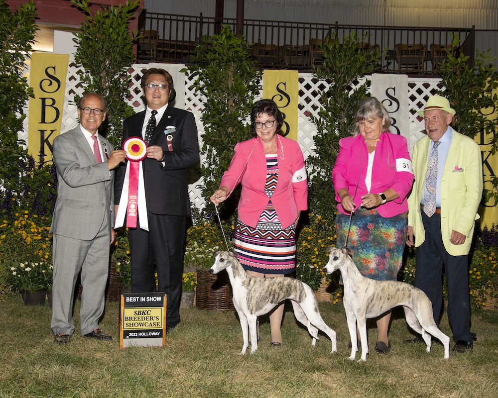 Remembering Last Year ... 